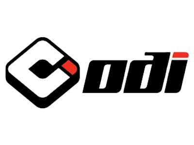 ODI logo
